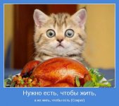 motivator-16053