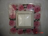 DSC02972