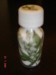 DSC03049