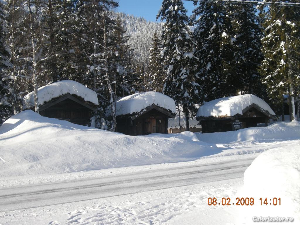 11.2008 025