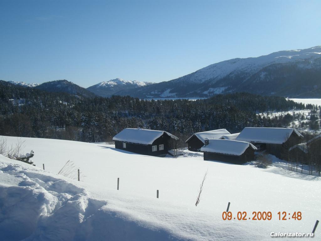 11.2008 034