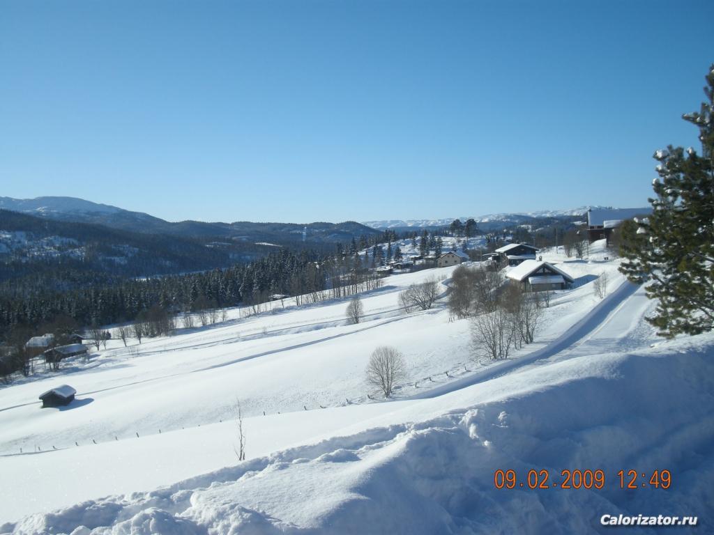 11.2008 035
