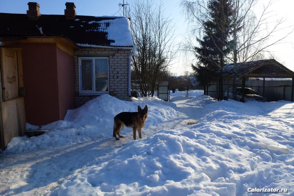 Февраль 2013