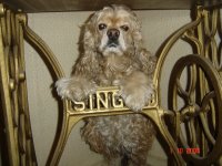 Зингер и я