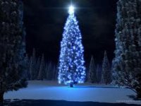 imagesCAJ5ONYK