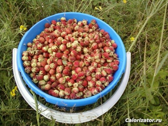 Собрано своими руками :)