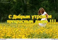 0 6ab65 8094f0a9 XL