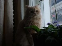 Любимое место для прогулок.