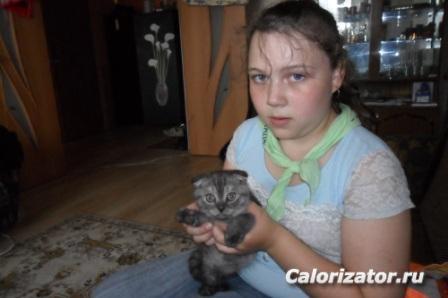 Бро