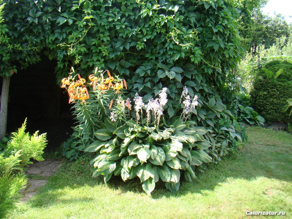 DSC05032