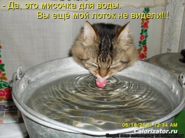 123