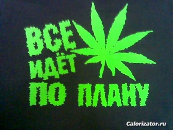 x cf4e8b7e