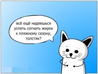 x 0dc0505b
