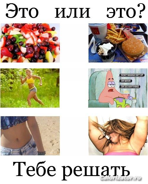 y 321c8c47