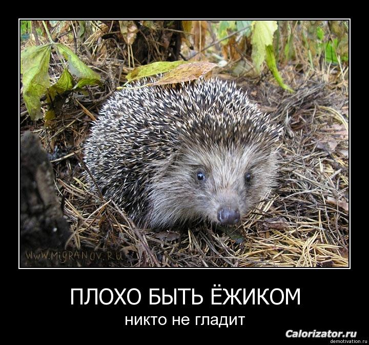 f2k0hxhef7fd(1)