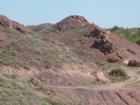 IMG 0590