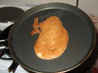 IMG 4182