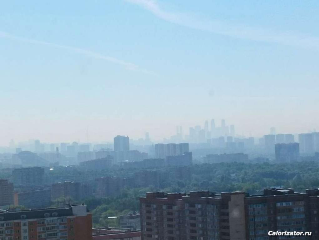 загруженное (5)