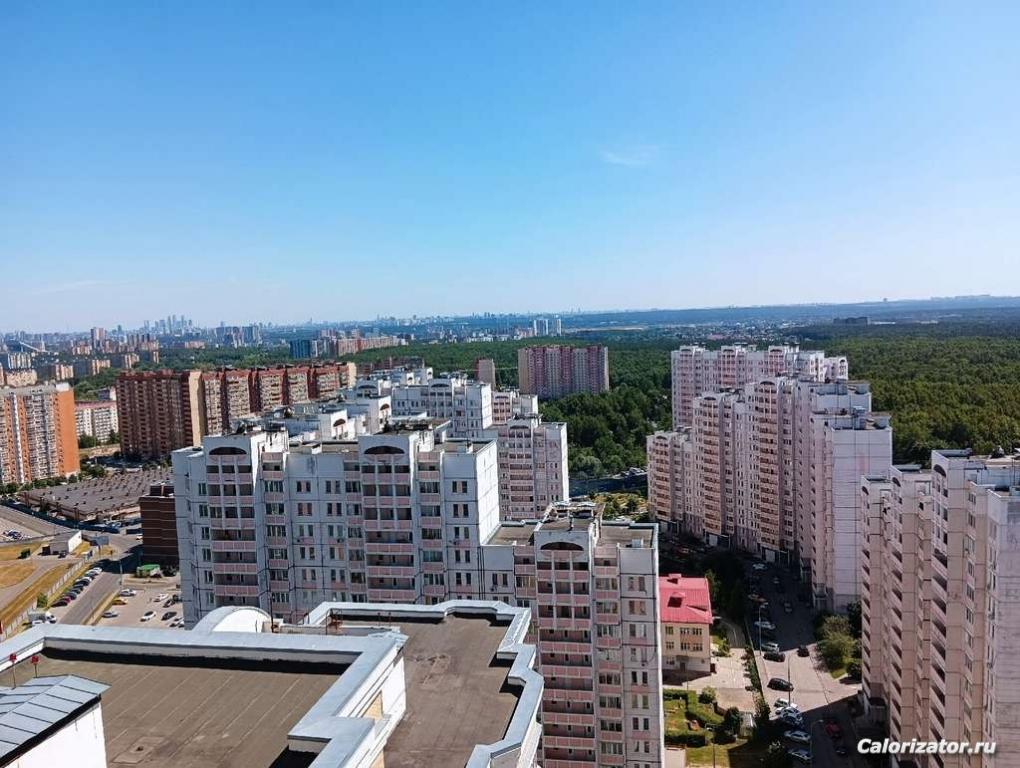 загруженное (10)