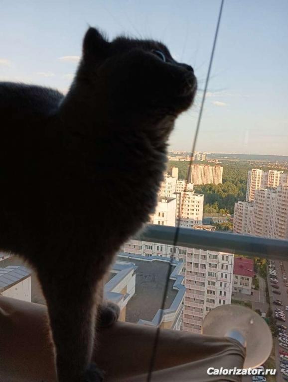 загруженное