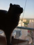 загруженное