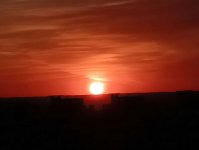 загруженное (2)