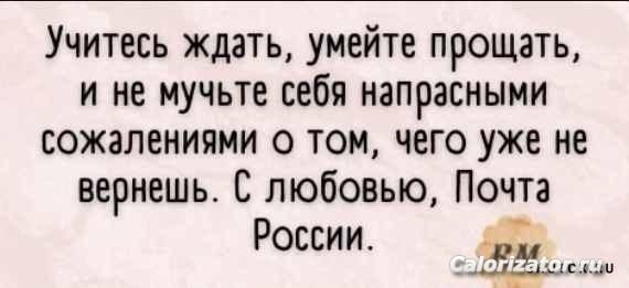 1656875980 shutok.ru.16916220