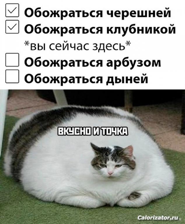 1657221090 shutok.ru.1