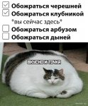 1657221090 shutok.ru.1
