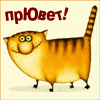 hello