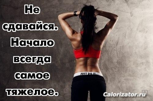 9P773Gn1z4c