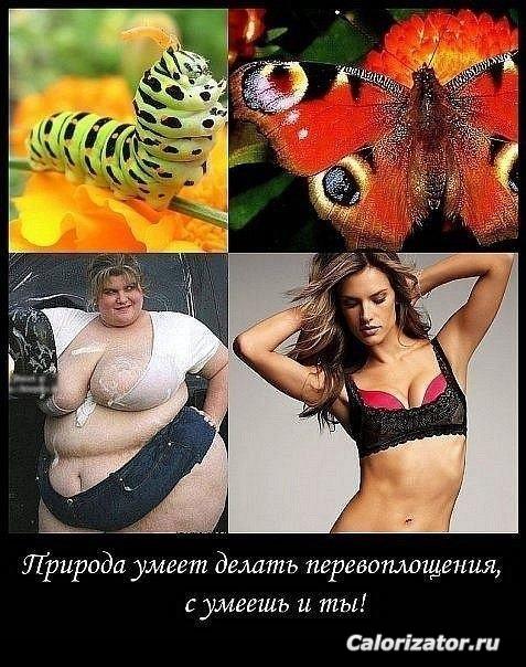 420084e5da25b1a81bbadbdbc8164259