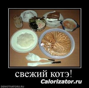 152966 270065