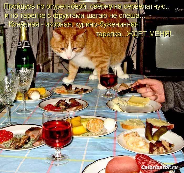 1307455470 1307392549 1307174730 9208391
