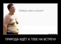 пиво и сиськи