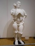 кость широкая
