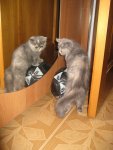 Изображение 104.jpg