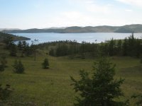 IMG 0467