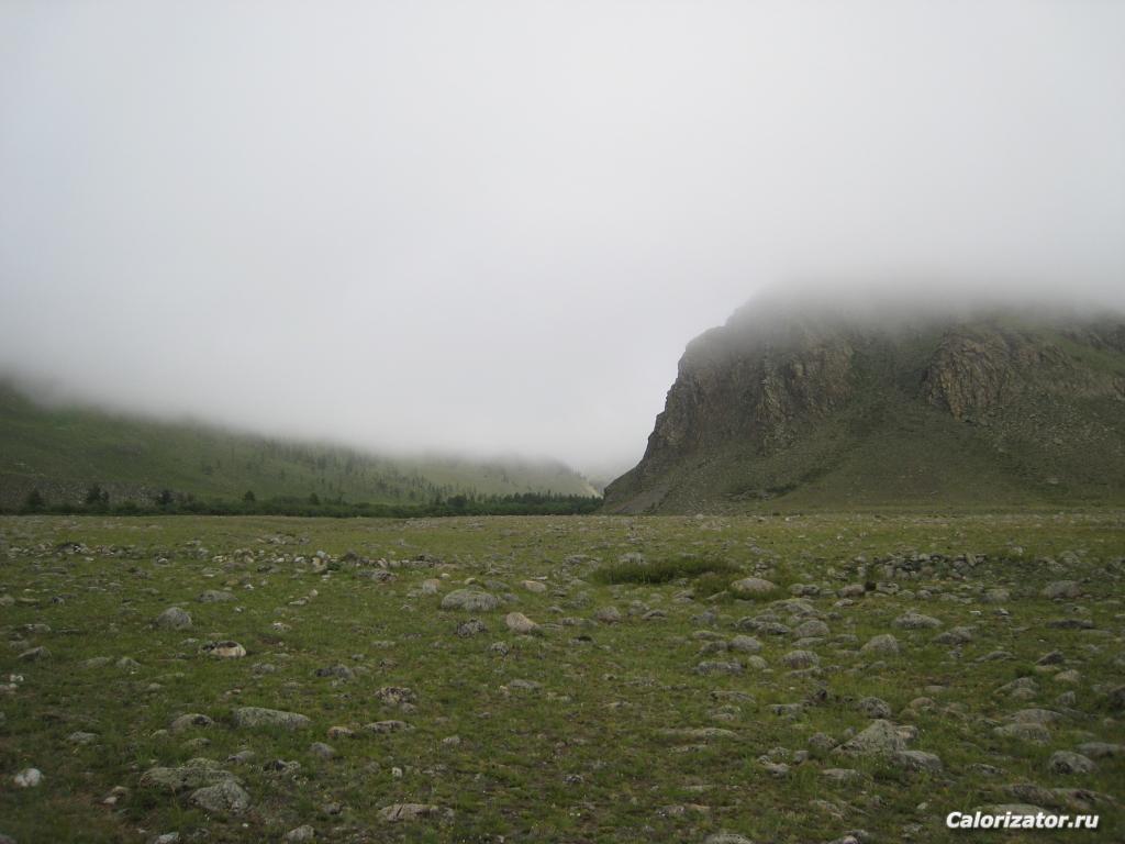 IMG 0656