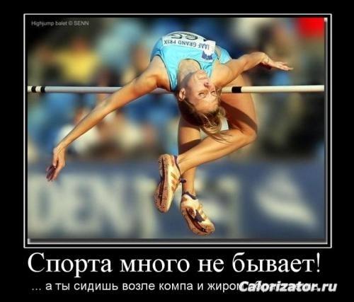 Спорт