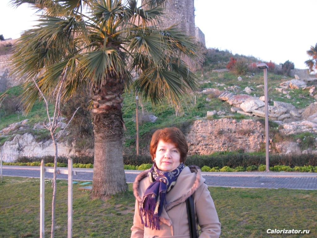 январь 2012, Турция, старая крепость в Гебзе