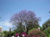 IMG 7316