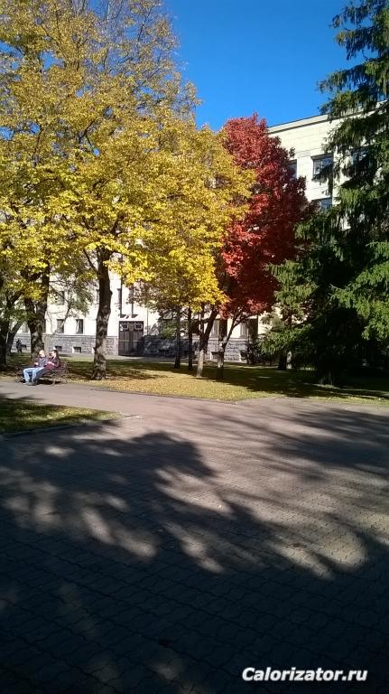 WP 20151026 13 18 27 Pro