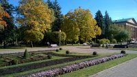 WP 20151026 13 13 09 Pro
