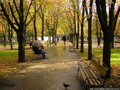 Николаев . Любимый каштановый сквер