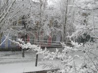 Николаев . Редкий гость - снег...