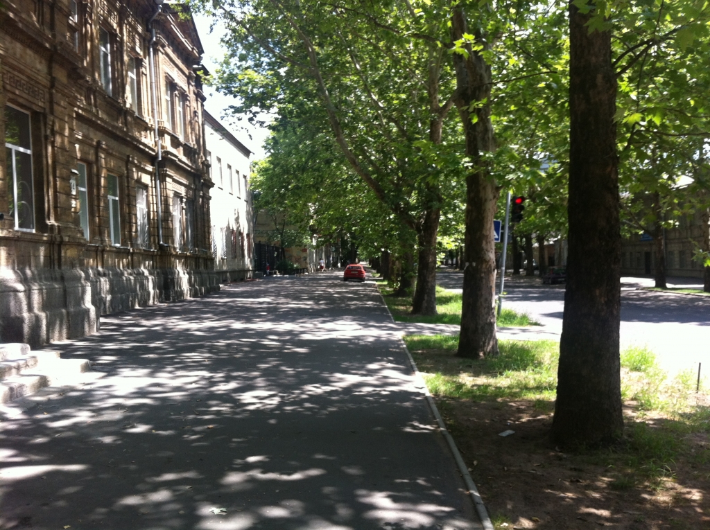 IMG 0743