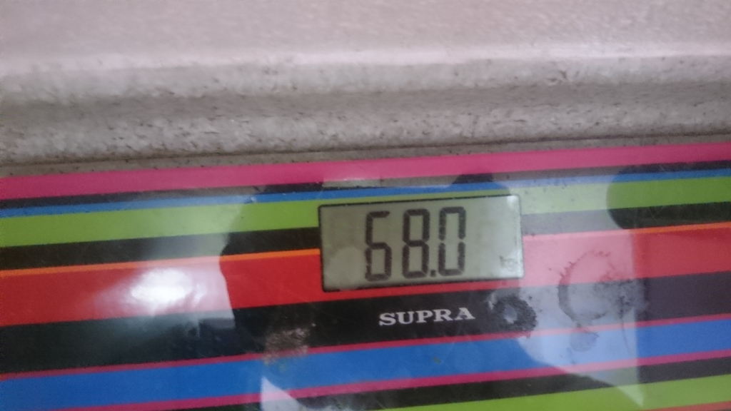 DSC 0257