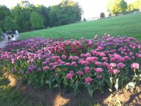 IMG 20180521 201935