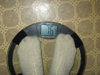 IMG 4378